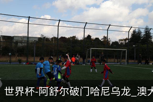 世界杯-阿舒尔破门哈尼乌龙 澳大利亚1-1埃及进加时