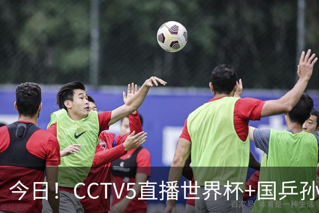 今日！CCTV5直播世界杯+国乒孙颖莎冲击冠军+中国男篮，5+转温网